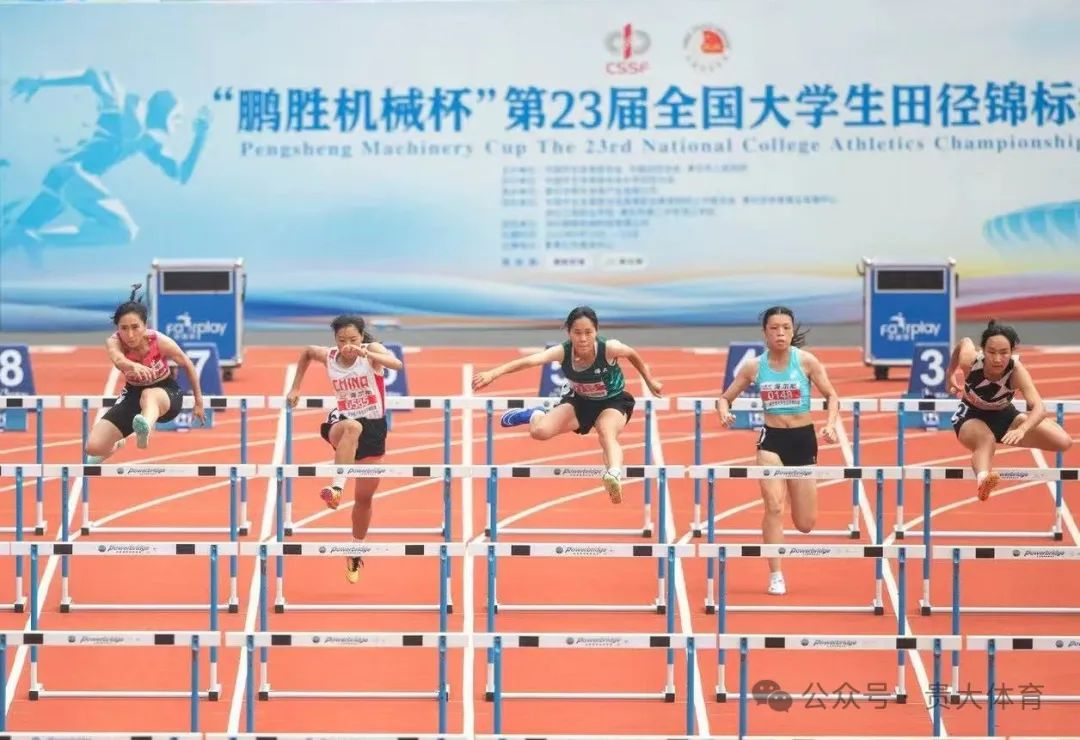 谈球吧官方指定端